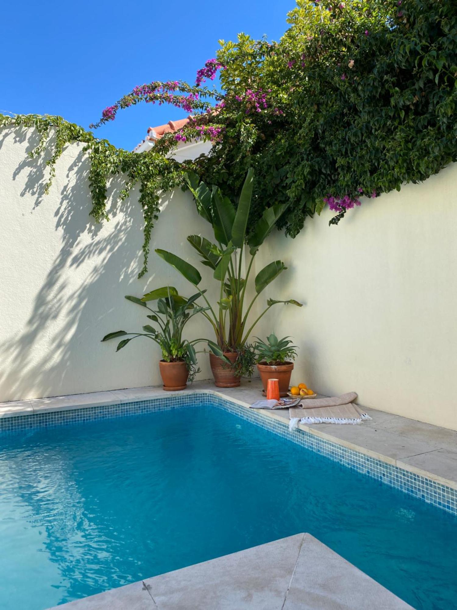 Villa House Upscale With Pool *